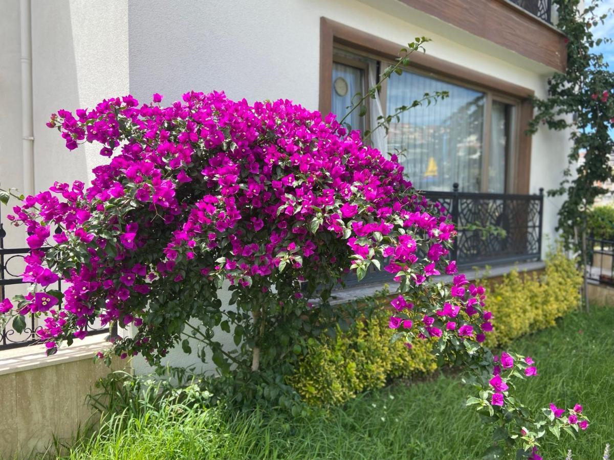YELKEN PANSİYON Sinop Dış mekan fotoğraf